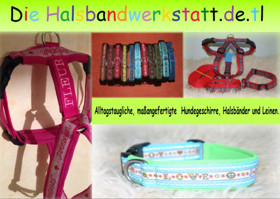 halsbandwerkstatt