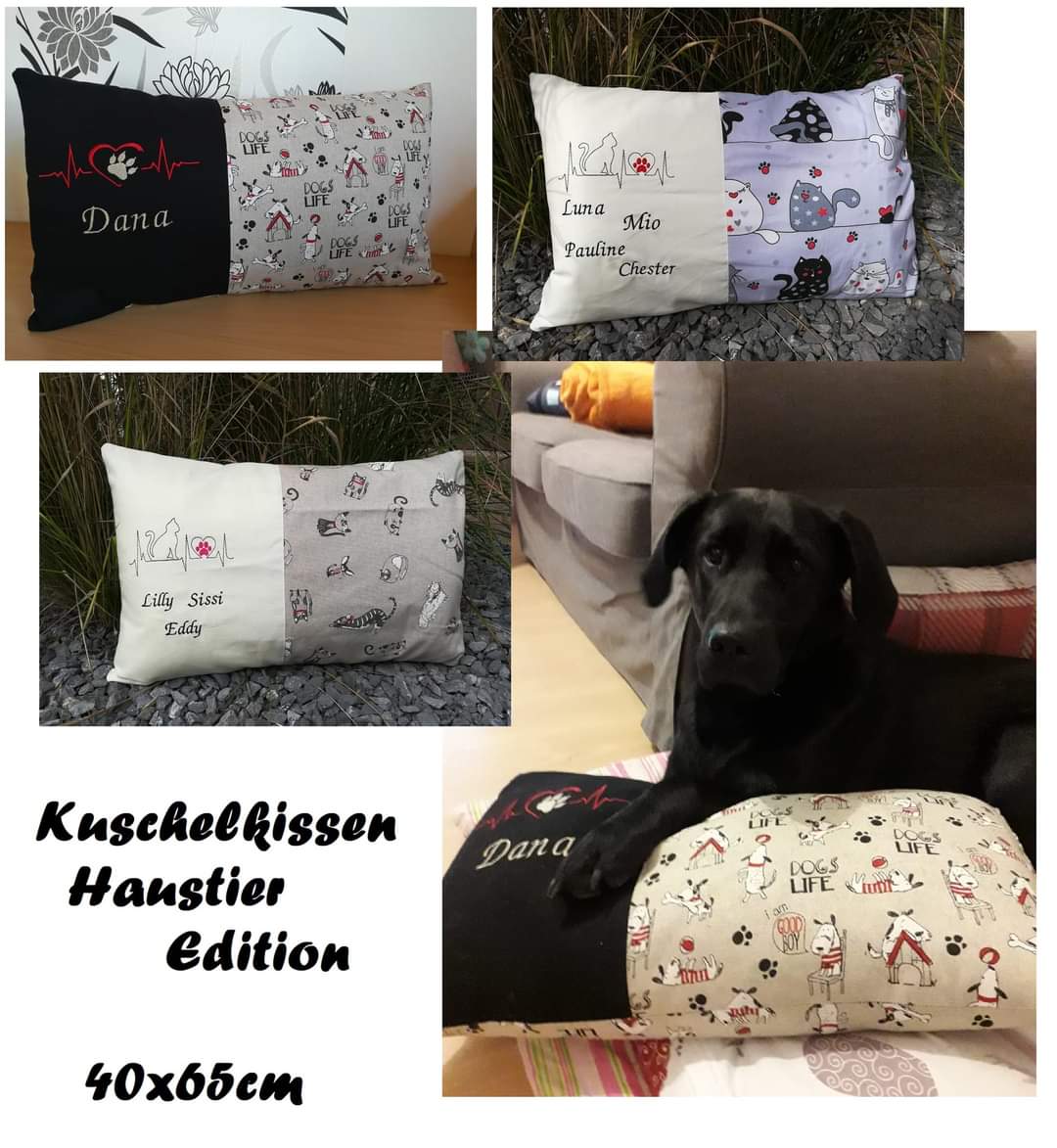 FB IMG 1650906980613