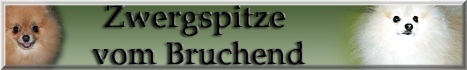 Banner-Bruchend-klein