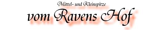Banner-Ravens