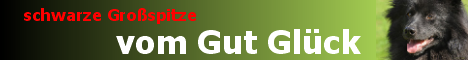 Banner_Gut_Glueck