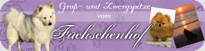 Banner vom Fuchschenhof